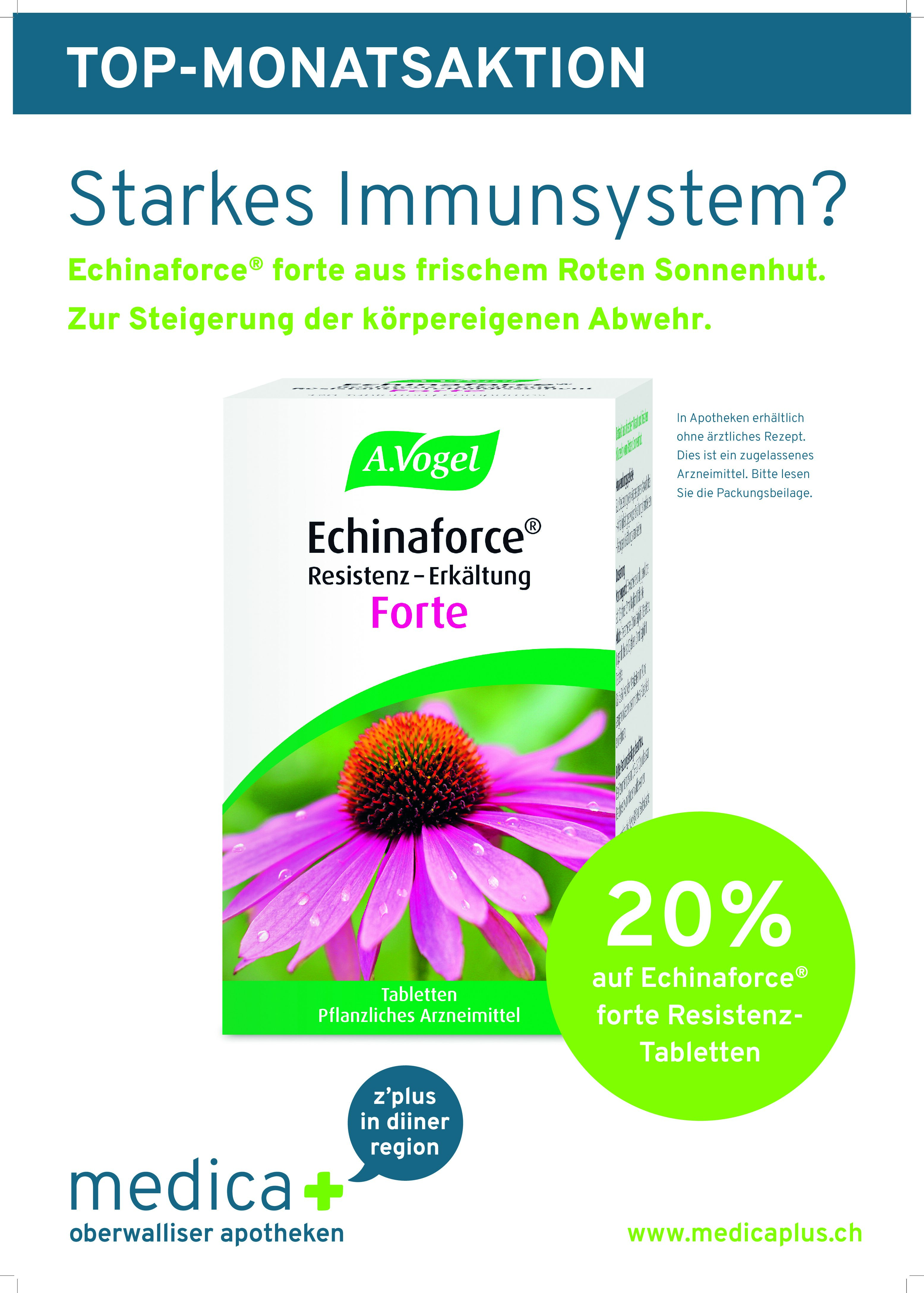 Monatsaktion November 2025